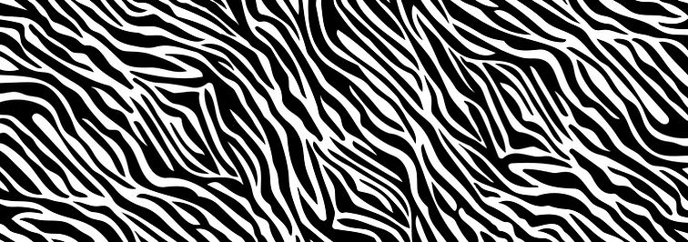 AdobeStock_342991087.jpeg