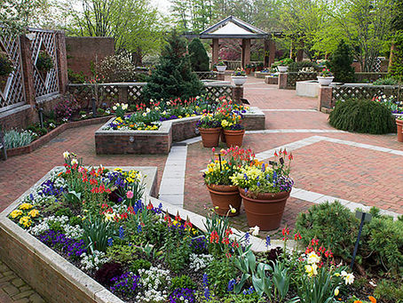 WHAT’S THERAPEUTIC GARDENING TO YOU?