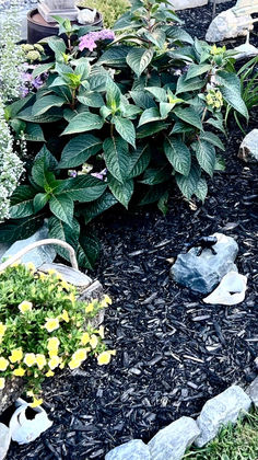 GARDENING IN A CHANGING CLIMATE