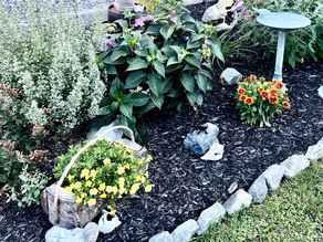 GARDENING IN A CHANGING CLIMATE