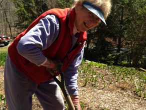 In Memory of Sandy Sarmanian 1938-2025