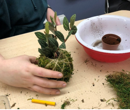Horticultural Therapy is Growing in the State of Maine