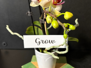 March 2026 President’s Chirp: