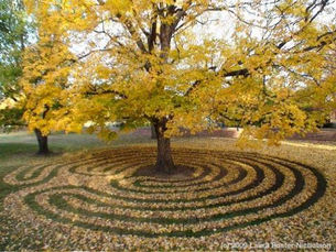 Meditation Gardens
