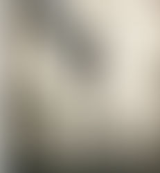 The Chestnut Man 2021 (Netflix)