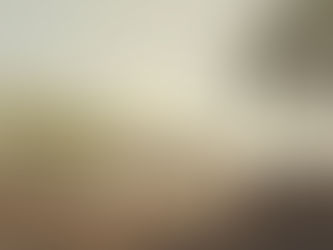 Juneteenth / Le 19 juin 1865