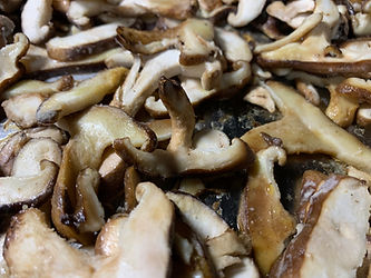 Special Diet, Recipes, Dinner sides, breakfast, dessert, lunch, condiments, sauces, dips, dressings, gluten-free, dairy-free, AIP, Autoimmune Protocol, Paleo, Plant-Based, Vegan, Vegetarian, Pescetarian, Keto, Whole30, Paleo, reverse autoimmune disease, heal chronic conditions, healthy, easy, quick, recipes, ideas, fruits, vegetables, roasted, baked, fried, seared, charred, nutrient-dense, nourishing, nutrients, gut healing, leaky gut, low fodmap, brightline eating, health, illness, shiitake superfood bowl, butternut squash, broccoli, cauliflower rice