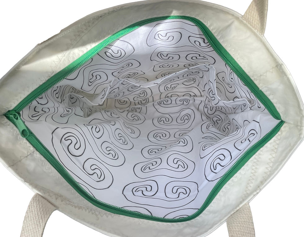 Thumbnail: Turtle Tote