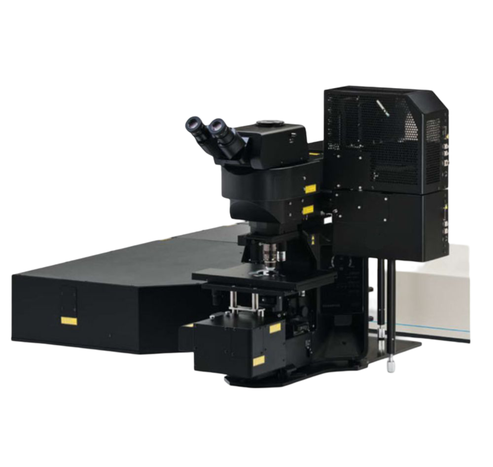 Laser Scanning Microscopes