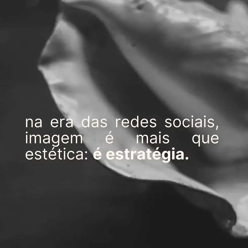 gerenciamento de redes sociais em itajaí