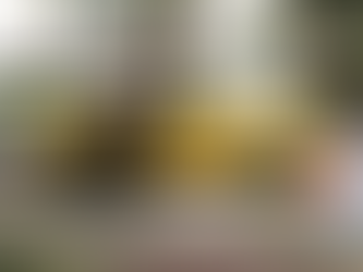 Creative Reflective e-Portfolio #4