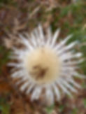 20201108_093534.jpg