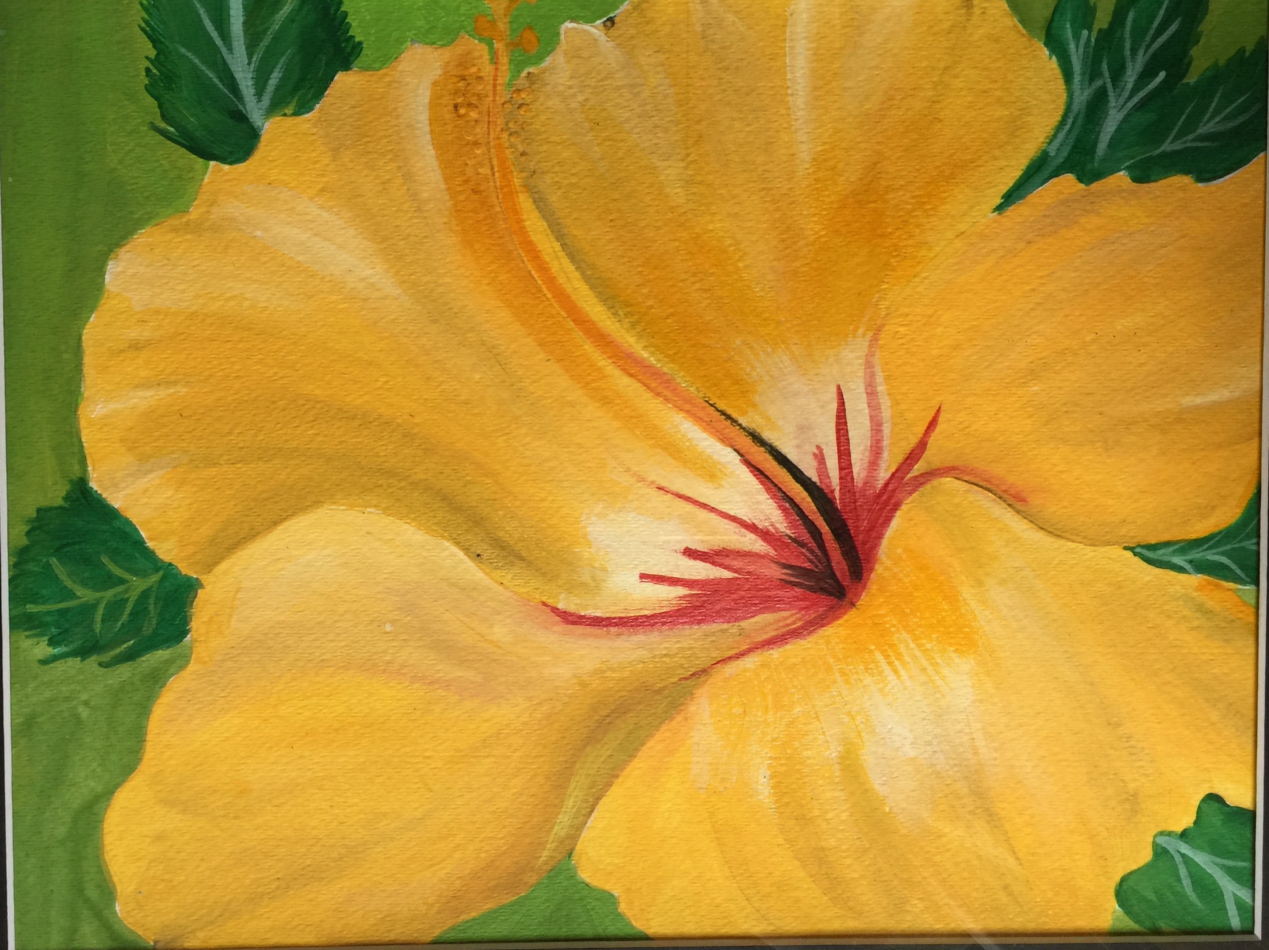 Yellow Hibiscus