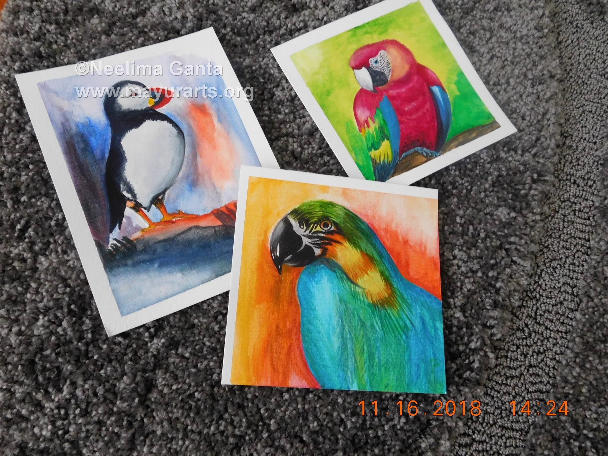 Birds Art prints with frame
