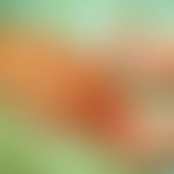 generationsvertrag Hand eines Senioren mit Babyfüßen