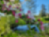 Sweet Botanicals – Frucht trifft Natur in ihrer edelsten Form
