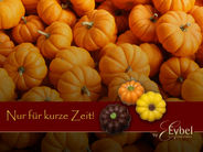 Ein kleines Stück Herbstmagie