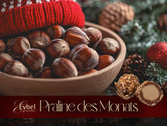 Haselnuss Praline