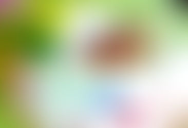 Colorful Jell-O~ A Mexican Recipe