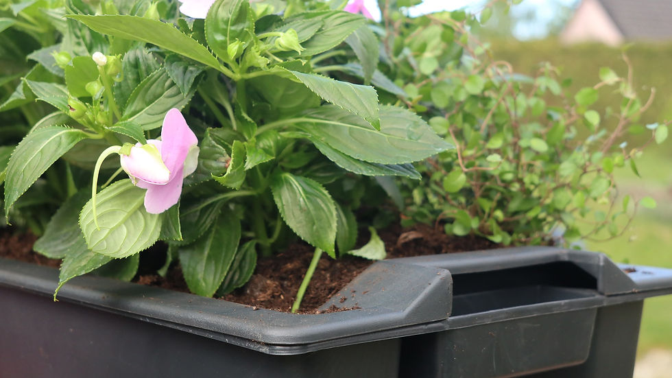 MobilPlant 500 - självvattnande planteringslåda