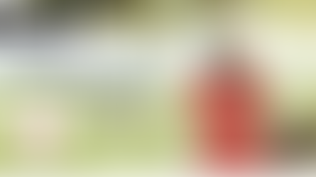 Tornando-me uma Mulher Sábia - PARTE III