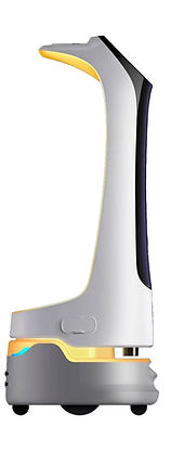 Untitled design (4) copy 3-min copy_edited.jpg
