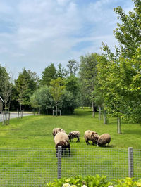 WhatsApp Image 2021-08-04 at 22.03.58 (6).jpeg