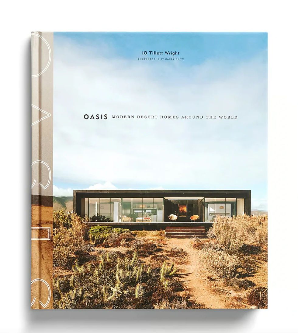 Oasis Modern Desert Homes Around the World, iO Tillett Wright