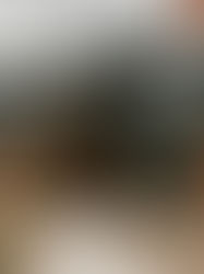 Catalyst Architecture Project 12153 Residential Renovation