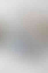 Oven detail in modern kitchen with wood cabinetry