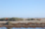 DSC_0021.JPG
