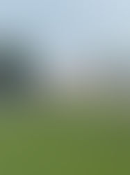 LI TORNEO ICAV GOLF EN OLIVANOVA