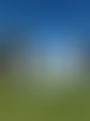 RESULTADOS QUINTA PRUEBA  XI CIRCUITO YOINGOLF OLIVANOVA