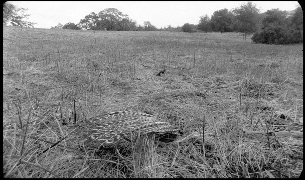 Image1.jpg