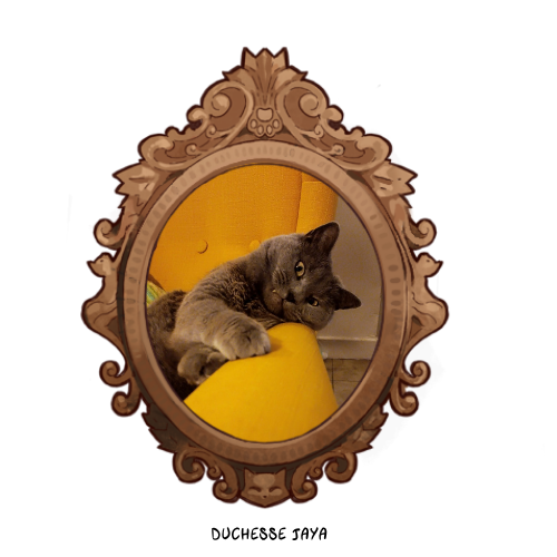 Duchesse Jaya