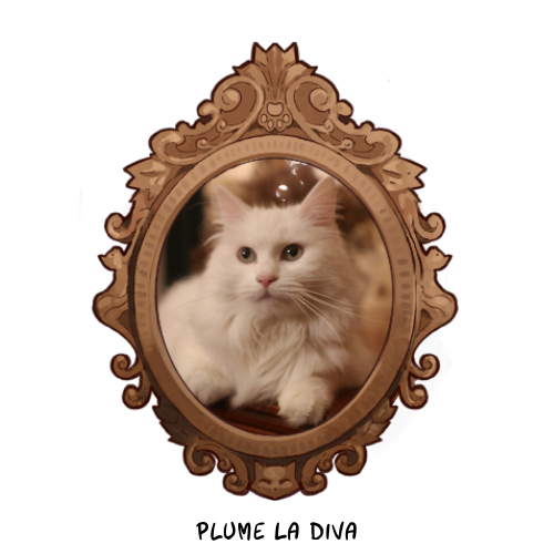 PLUME LA DIVA