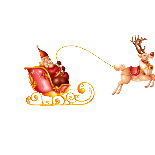 Copie de Collection (3).gif