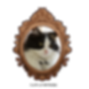 Dame Fleya, maitresse de la villa des croquettes.