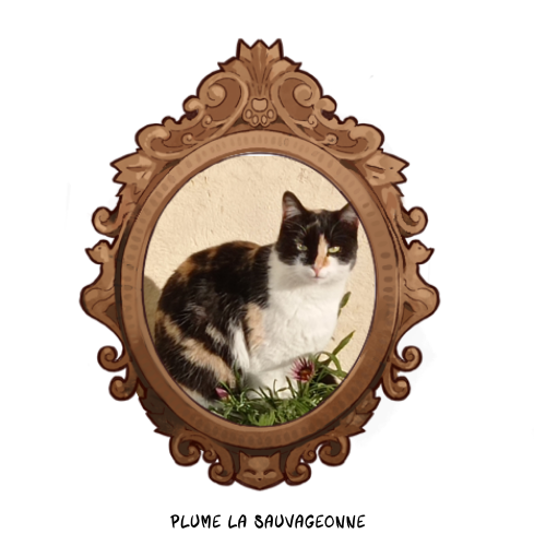 Plume, la sauvageonne.