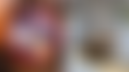 Whole house fan next to a swamp cooler from Colorado Home Services