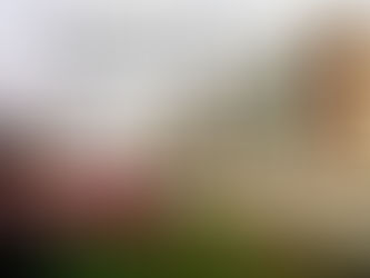 Wake Up, Rise Up - LIVE4Peace (Music Festival)