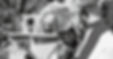 1 (10)_edited_edited.jpg