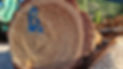 20220713_074314.jpg
