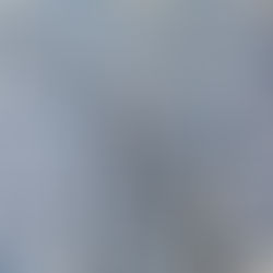 Cotton Jersey - Cornflower Blue Leaves