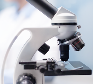 - Dr Tasman Lipscombe – Dermatologist