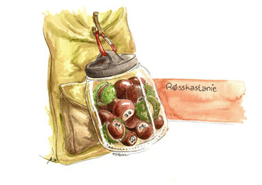 Kastanien auf Wanderschaft, Chestnuts in a bottle, backpack, rucksack