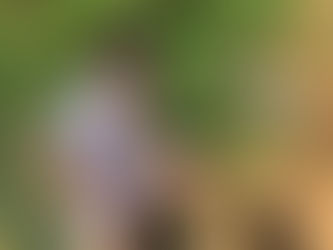 Kisah Haru Redding Saat Sedang Bersantai di Mandalika