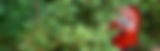 Reviews.jpg