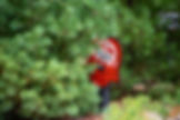 ScavengerHunt.jpg