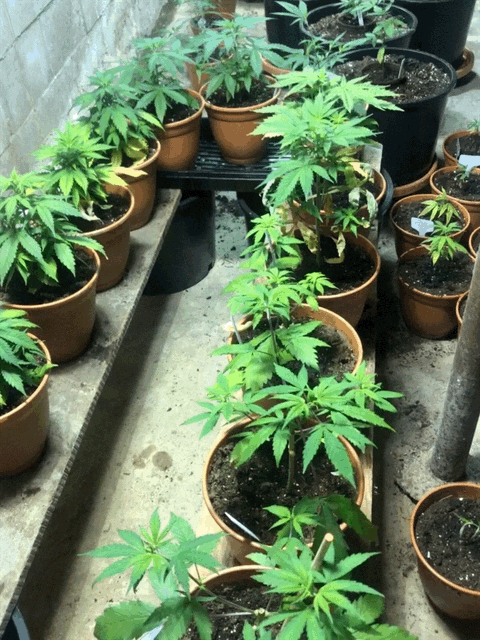 getting bigger.GIF
